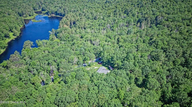54 Williams Rd, Stephentown, NY 12169 - photo 50