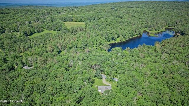54 Williams Rd, Stephentown, NY 12169 - photo 51