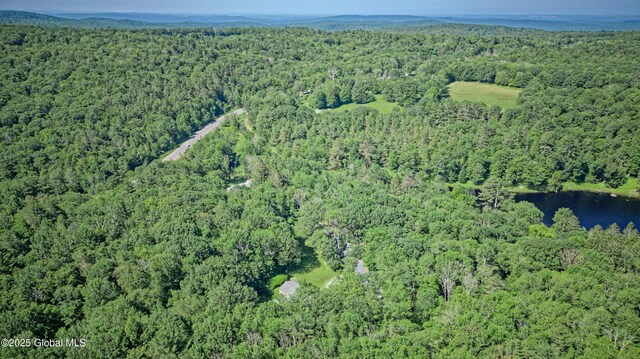 54 Williams Rd, Stephentown, NY 12169 - photo 52