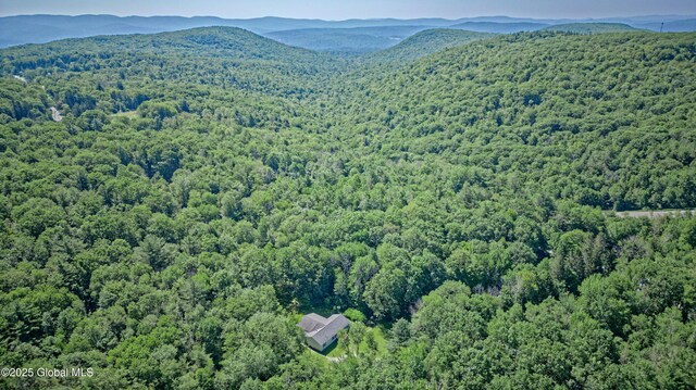 54 Williams Rd, Stephentown, NY 12169 - photo 53