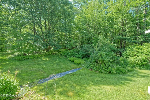 54 Williams Rd, Stephentown, NY 12169 - photo 45