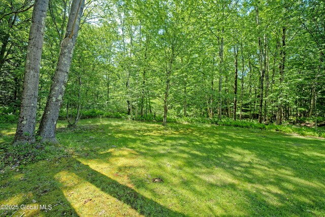 54 Williams Rd, Stephentown, NY 12169 - photo 47