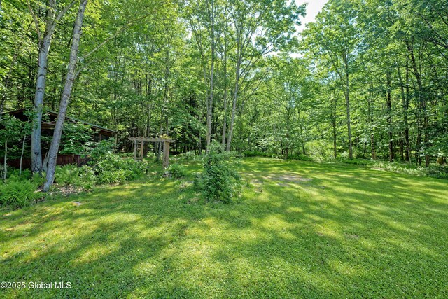 54 Williams Rd, Stephentown, NY 12169 - photo 48
