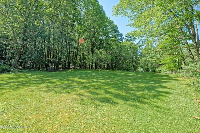 54 Williams Rd, Stephentown, NY 12169 - photo 49
