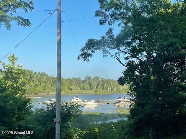 26 Center St, Coxsackie, NY 12051 - photo 32