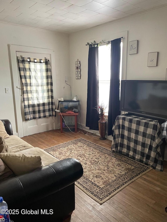 21-25 Mohawk St, Fort Plain, NY 13339 - living area featuring wood finished floors and crown molding