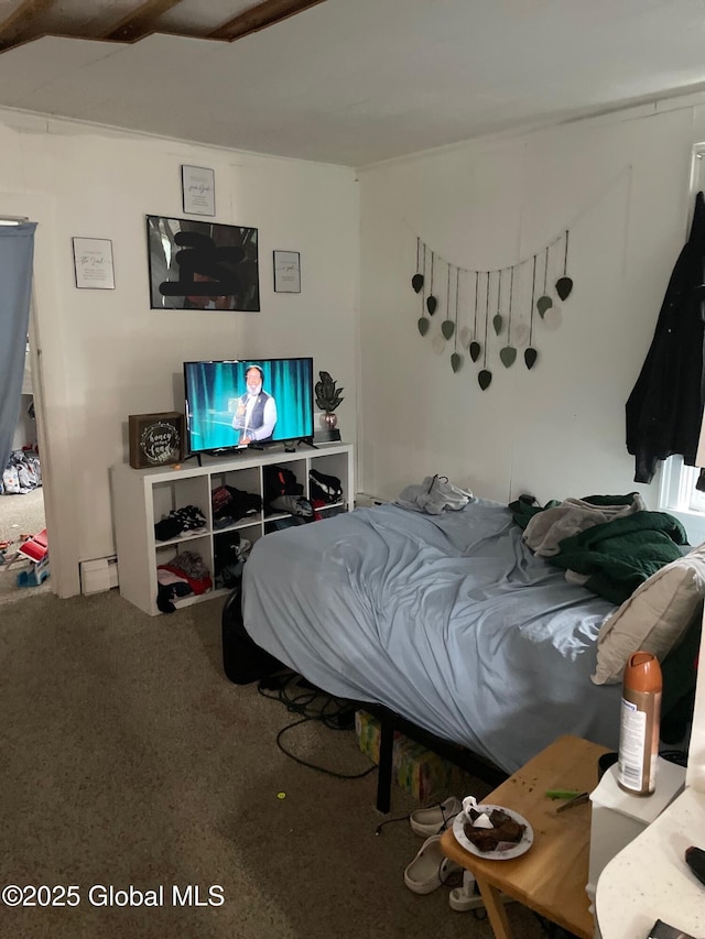 21-25 Mohawk St, Fort Plain, NY 13339 - view of carpeted bedroom