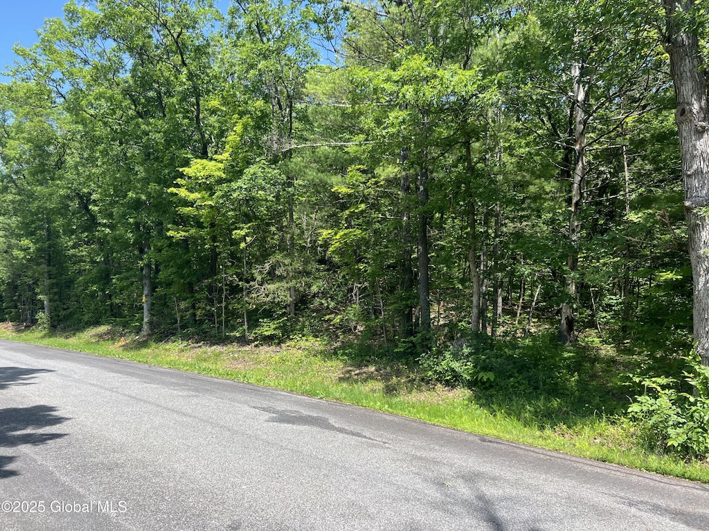 L20.1 Vosenkill Rd, Athens, NY 12015