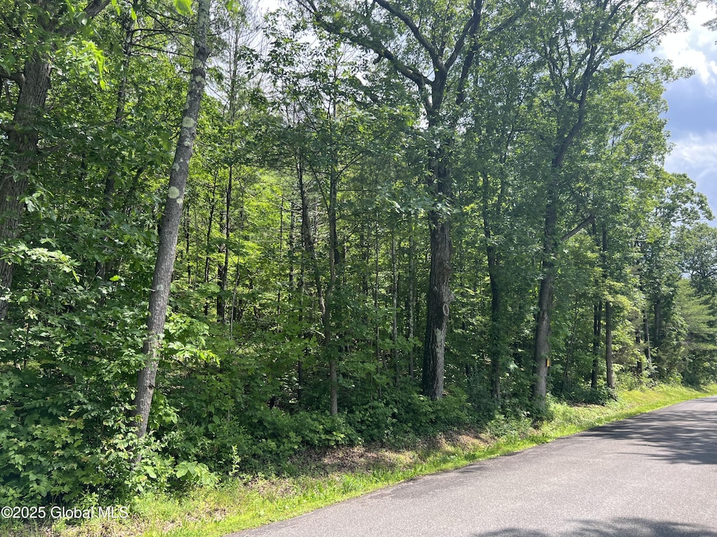 L20.1 Vosenkill Rd, Athens, NY 12015