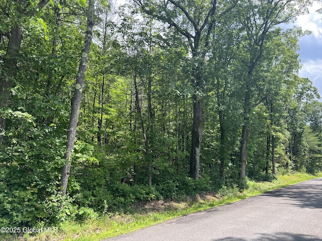 L20.1 Vosenkill Rd, Athens, NY 12015