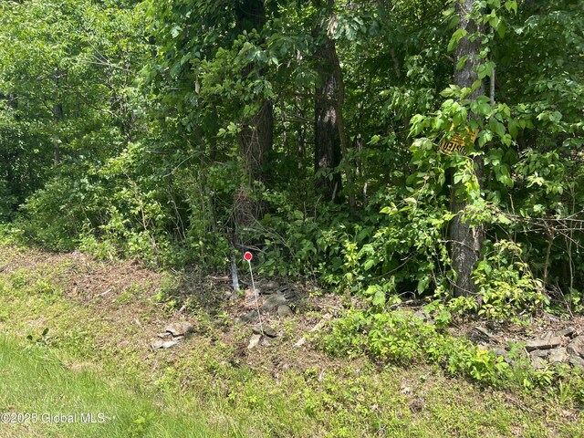 L20.1 Vosenkill Rd, Athens, NY 12015