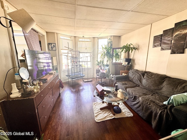 358 2nd St, Albany, NY 12206 - living room with wood finished floors