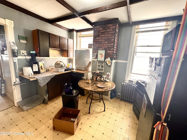 358 2nd St, Albany, NY 12206 - kitchen with light floors, beam ceiling, coffered ceiling, radiator, and dark brown cabinets