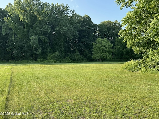 23 Ferry Blvd, South Glens Falls, NY 12803 - view of green lawn
