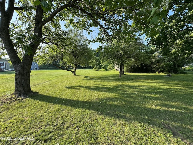 23 Ferry Blvd, South Glens Falls, NY 12803 - view of grassy yard