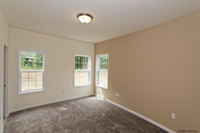 1C Brison Ave, North Greenbush, NY 12180 - photo 34