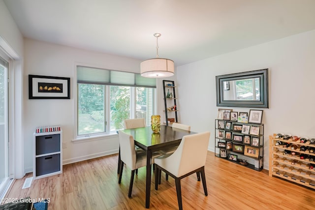 22 Pine Ridge Rd, Stillwater, NY 12866 - dining area featuring plenty of natural light and light wood-style flooring