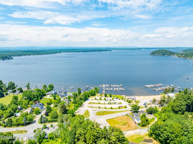 22 Pine Ridge Rd, Stillwater, NY 12866 - bird's eye view of a large body of water