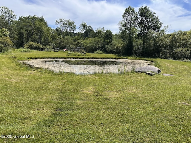 634 State Route 143, Westerlo, NY 12193 - view of green lawn with a water view and a wooded view