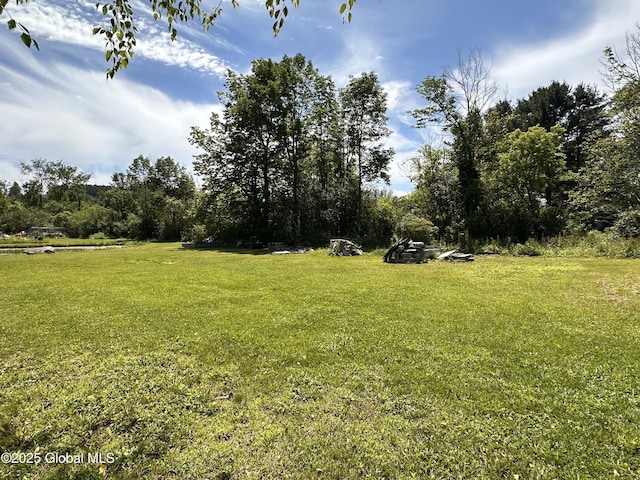 634 State Route 143, Westerlo, NY 12193 - view of green lawn