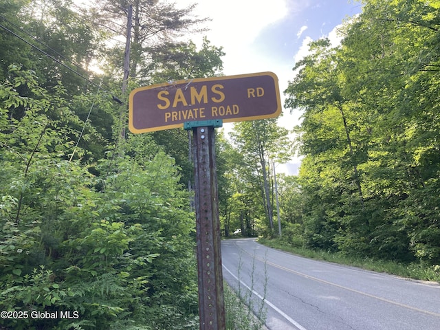 51 Sams Rd, Schroon, NY 12870 - photo 3