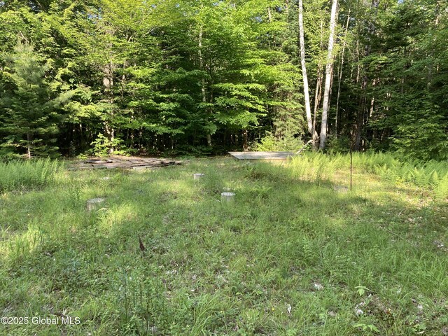 51 Sams Rd, Schroon, NY 12870 - photo 5