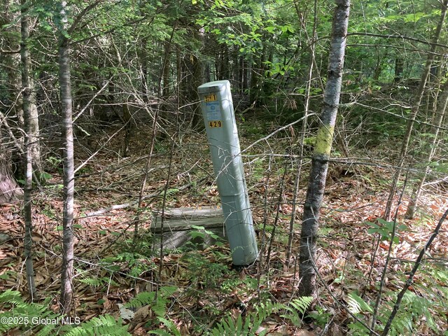 51 Sams Rd, Schroon, NY 12870 - photo 10