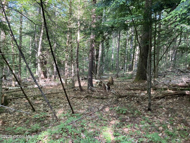 51 Sams Rd, Schroon, NY 12870 - photo 11