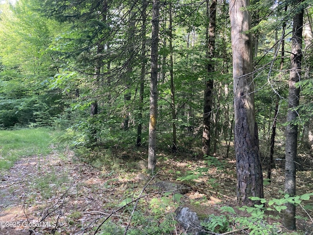 51 Sams Rd, Schroon, NY 12870 - photo 12