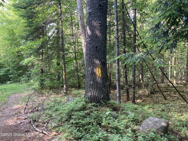 51 Sams Rd, Schroon, NY 12870 - photo 14