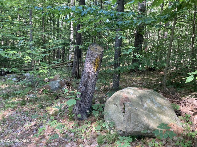 51 Sams Rd, Schroon, NY 12870 - photo 15