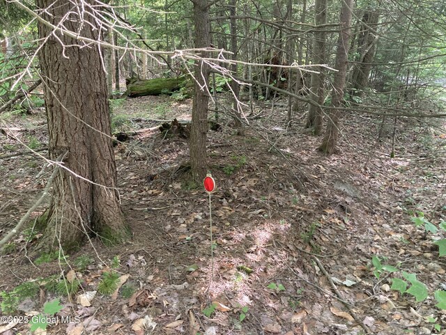 51 Sams Rd, Schroon, NY 12870 - photo 17