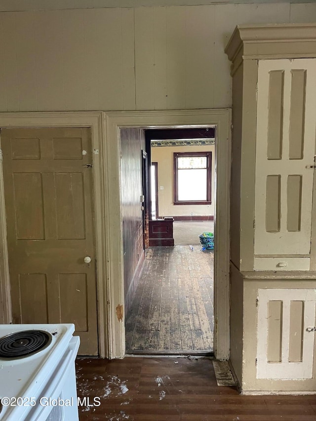 30 Washington St, Fort Plain, NY 13339 - hallway with dark wood-style floors