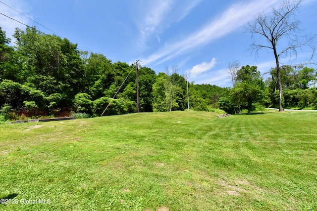 157 Mosquito Swamp Rd, Greenwich, NY 12834 - view of green lawn