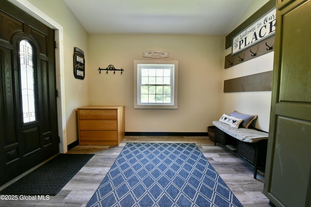 157 Mosquito Swamp Rd, Greenwich, NY 12834 - mudroom with baseboards and light wood finished floors