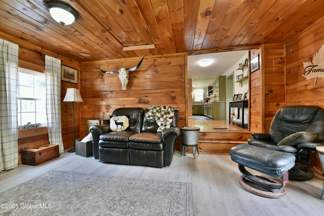 157 Mosquito Swamp Rd, Greenwich, NY 12834 - living room featuring wood finished floors, wood ceiling, and wooden walls