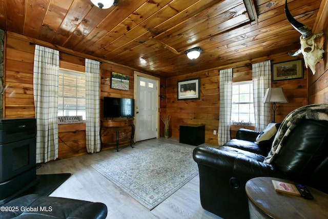 157 Mosquito Swamp Rd, Greenwich, NY 12834 - living area featuring wood ceiling, wood walls, wood finished floors, and a wood stove