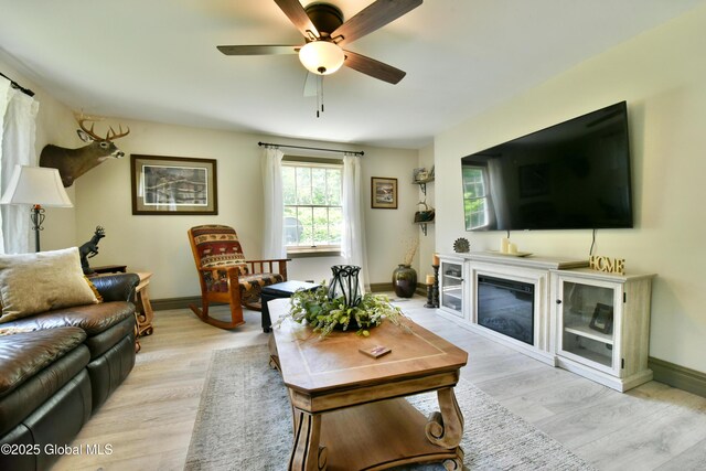 157 Mosquito Swamp Rd, Greenwich, NY 12834 - living area featuring light wood-style floors, a ceiling fan, and a glass covered fireplace