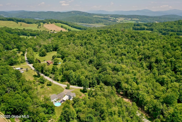 157 Mosquito Swamp Rd, Greenwich, NY 12834 - aerial view of a forest and a mountainous background