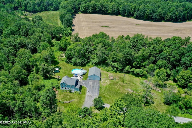157 Mosquito Swamp Rd, Greenwich, NY 12834 - view of property location with a forest