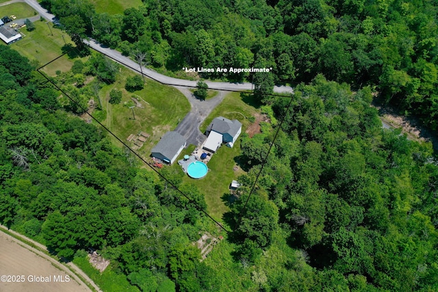 157 Mosquito Swamp Rd, Greenwich, NY 12834 - aerial view of property's location featuring property boundaries highlighted