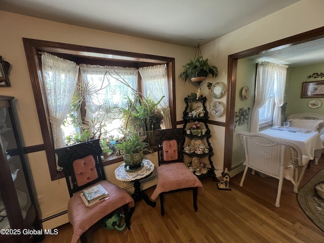 56 Wendell St, Ravena, NY 12143 - living area with wood finished floors, plenty of natural light, and baseboard heating