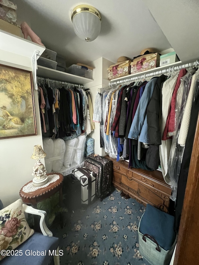 56 Wendell St, Ravena, NY 12143 - spacious closet with carpet floors