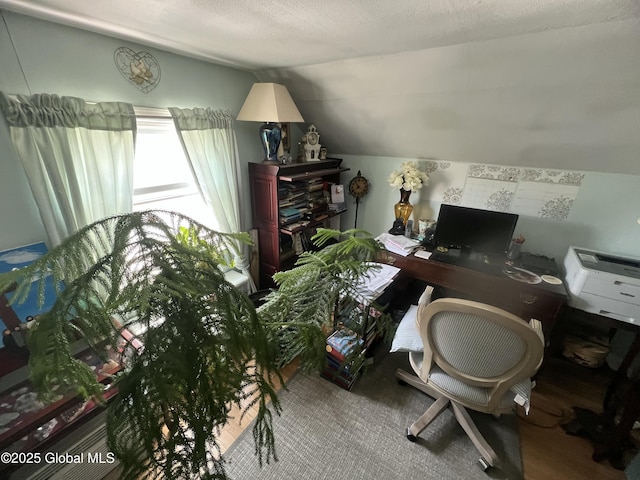 56 Wendell St, Ravena, NY 12143 - home office featuring vaulted ceiling and a textured ceiling