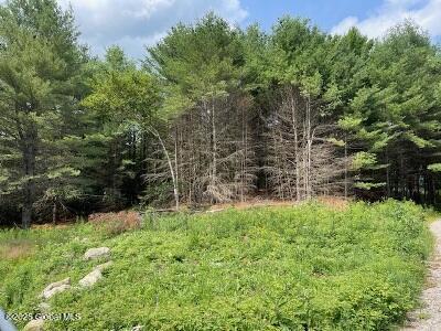 623 Johnson Pond Rd, North Hudson, NY 12855 - photo 3