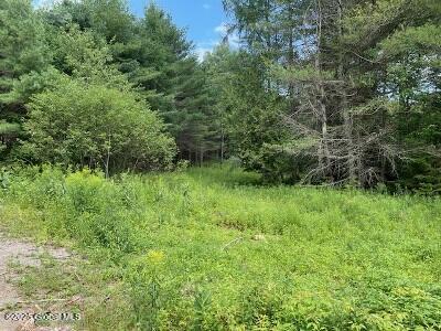 623 Johnson Pond Rd, North Hudson, NY 12855 - photo 4