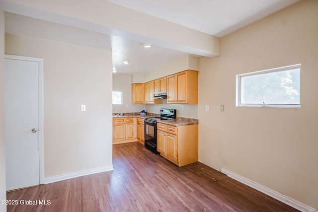 1818 4th St, Rensselaer, NY 12144 - kitchen featuring black / electric stove, light brown cabinets, dark wood finished floors, healthy amount of natural light, and recessed lighting