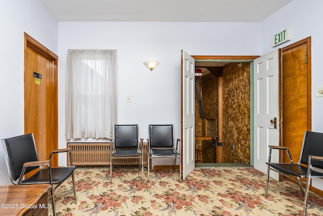 13 Belmont Pl, Amsterdam, NY 12010 - photo 28