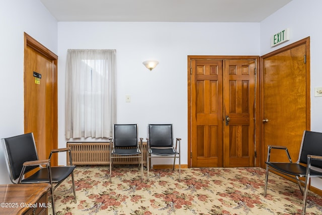 13 Belmont Pl, Amsterdam, NY 12010 - photo 27