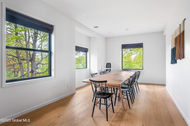 1 Wawayanda Pl, Middletown, NY 10940 - dining room with light wood-type flooring and baseboards
